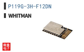 P119G-3H-F12DN ͼƬ
